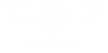 ArtJetFly